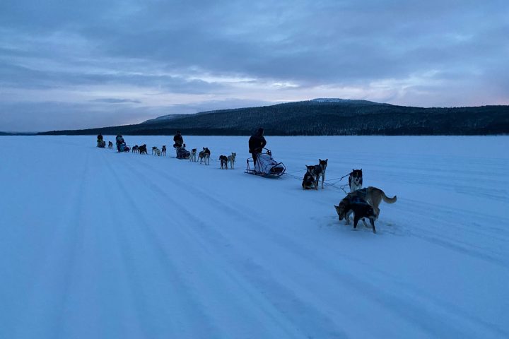 a group of people cross country skiing in the snow