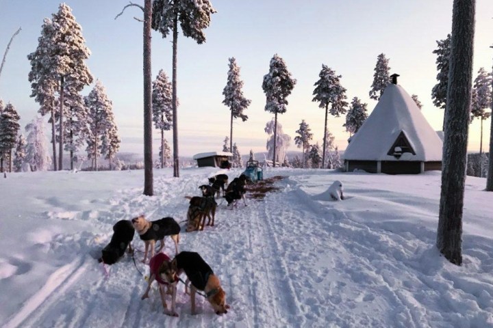 a group of people riding skis down a snow covered slope