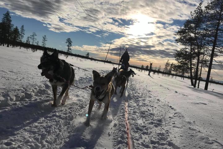 a person riding a horse in the snow