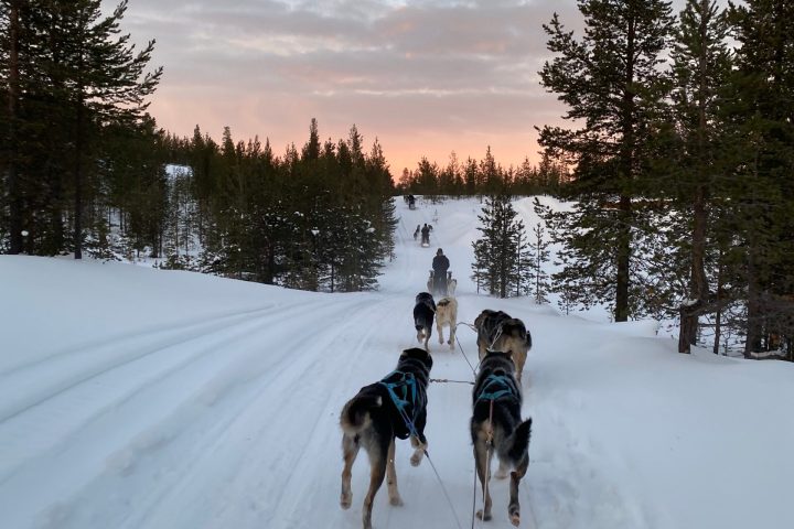 a man riding a horse in the snow