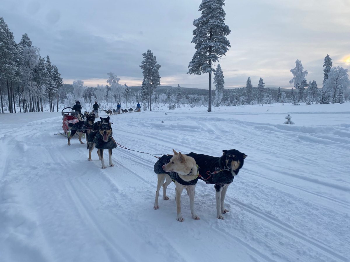 a group of people cross country skiing in the snow