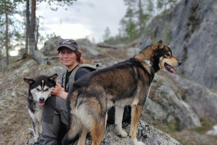 a dog standing on a rock